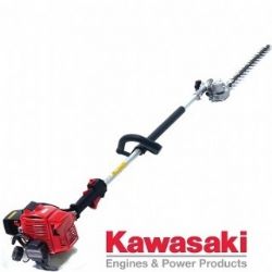 kawasaki