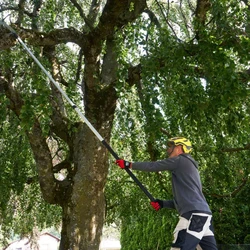 מסור טלסקופי ידני FELCO פלקו 684 אורך מקסימלי 640 ס"מ